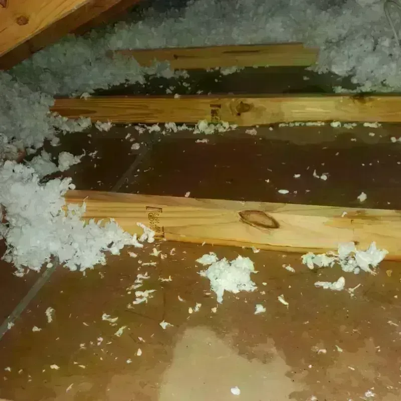 Attic Water Damage in Goldsby, OK