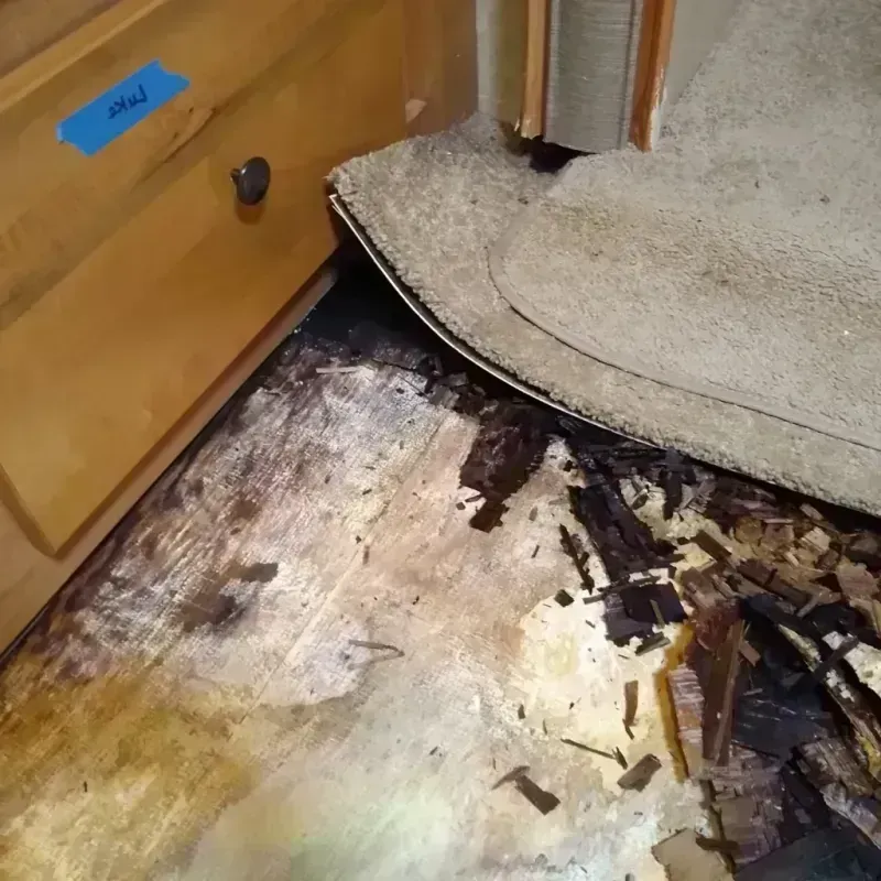 Best Wood Floor Water Damage Service in Goldsby, OK